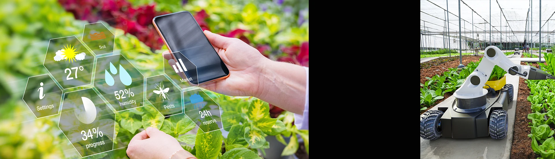 Exploiter la technologie en agriculture