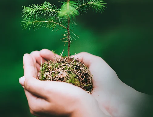 regeneration naturelle des ressources