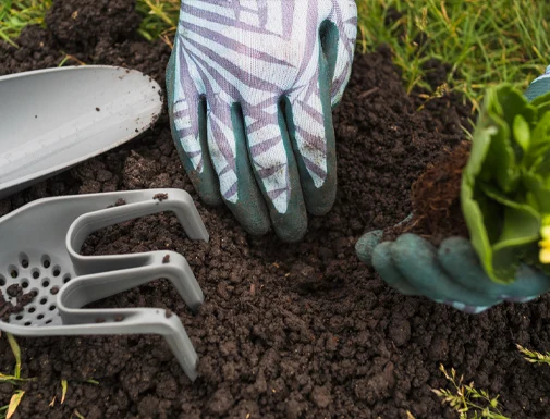 utilisation du compost